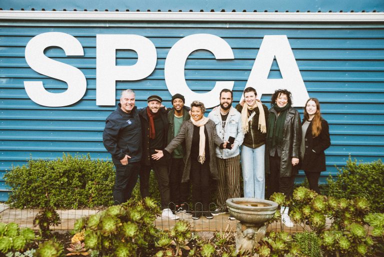 Glastonfurry returns with packed lineup to support SPCA Glastonfurry SPCA charity event cover photo 2024